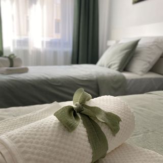 Zöld Ajtó Apartman Szeged (3)