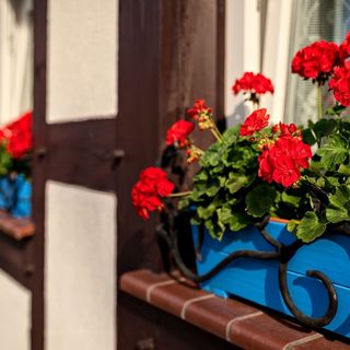 Chata Rybacka Saule Ustka (2)