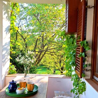 Vadszőlő - Wild Grape Vendégház Badacsonyörs (4)