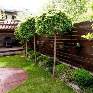 Louis Vendégház Miskolctapolca (3)