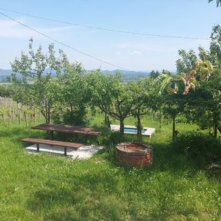 Szente Pince Vendégház Lesencetomaj (2)