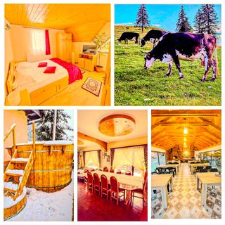 Pensiunea Valea cu Brazi Dâmbovicioara (2)