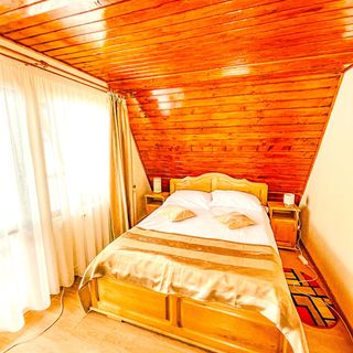 Pensiunea Valea cu Brazi Dâmbovicioara (3)