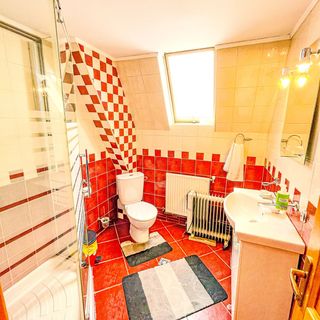 Pensiunea Valea cu Brazi Dâmbovicioara (4)