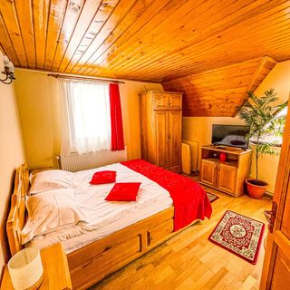 Pensiunea Valea cu Brazi Dâmbovicioara (5)