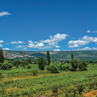 Vendégház Lokvicici - CSC858 (5)