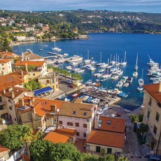 Apartman Opatija - CKU536 (5)