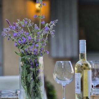 Pitypang Vendégház Csákvár (4)