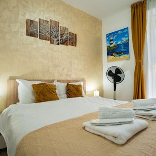 Modern and Comfortable Apartment Cismigiu Park București (2)