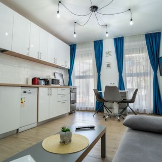 Modern and Comfortable Apartment Cismigiu Park București (4)