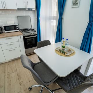 Modern and Comfortable Apartment Cismigiu Park București (5)