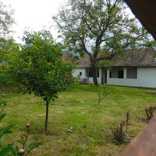 Kiskos Vendégház Kóspallag (3)