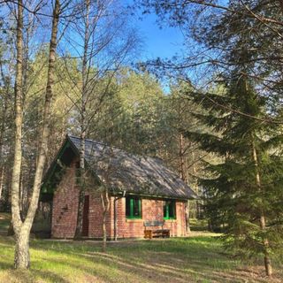 Raj na Kaszubach - Pałubicka Bór - Domy na Wynajem Kłaczno (2)