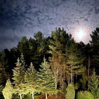 Raj na Kaszubach - Pałubicka Bór - Domy na Wynajem Kłaczno (5)