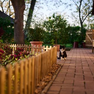 Kőris Tanya Vendégház Hódmezővásárhely (4)