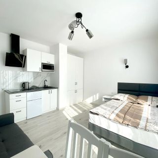 Leśny Zakątek z sauną, basenem i jacuzzi Tupadły (2)