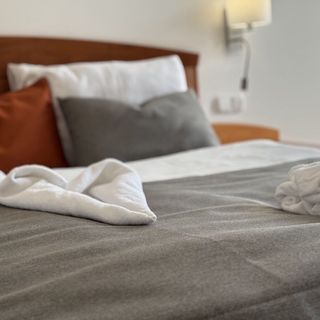 Alma 703 Wellness Apartman Zalakaros (5)