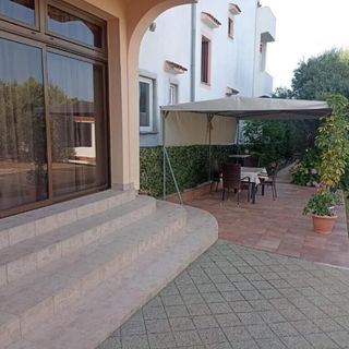 Apartments Olive and Sea Bibinje (5)