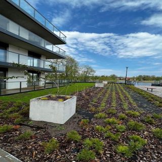 Green Apartament Dziwnów (2)