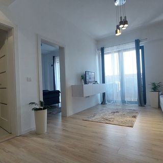 Andree Studio Târgu Mureș (5)