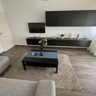 Debreceni Egyetem Nagyerdei Apartman Debrecen (4)
