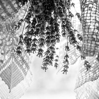 Pista Bácsi Háza Pusztaföldvár (5)