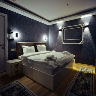 Pensiunea Adanur Holiday Crisan (5)