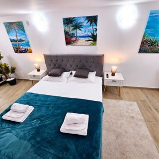 Lovely duplex Apartment Cismigiu Park București (5)