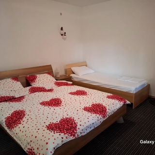 Casa Mika Pardina (3)