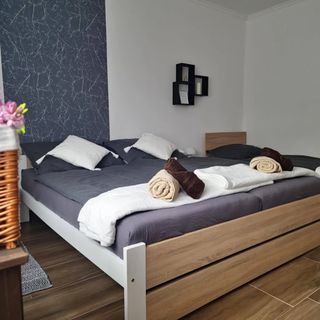 Vida Apartman Poroszló (2)