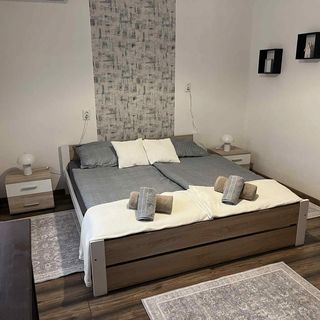 Vida Apartman Poroszló (5)