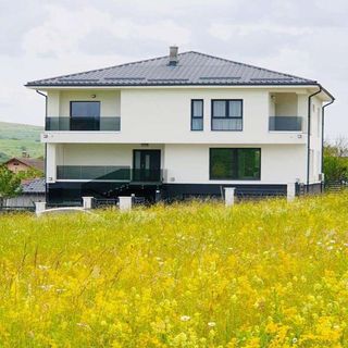 Vila Bio Green House Cluj-Napoca (4)