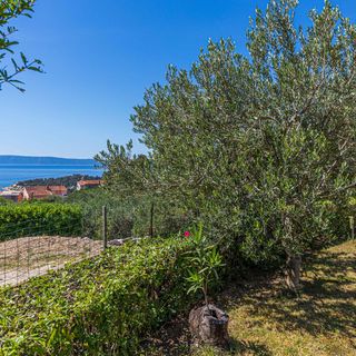 Apartman Makarska - CSC851 (2)