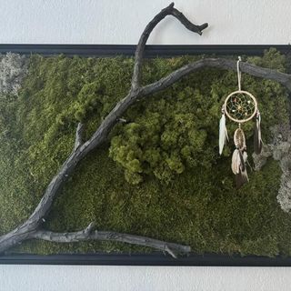 Apartament Zimowa 16 Srebrna Góra (3)