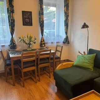 Apartament Zimowa 16 Srebrna Góra (4)