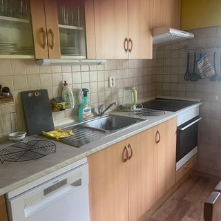 Chata Janov Nový Bor (4)