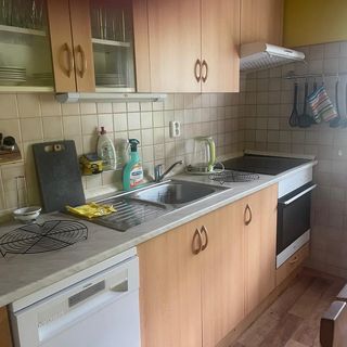 Chata Janov Nový Bor (4)