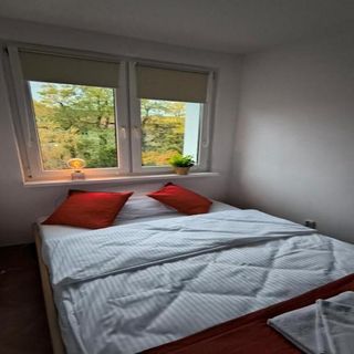 Apartament Tabago Studio 28 Legnica (4)