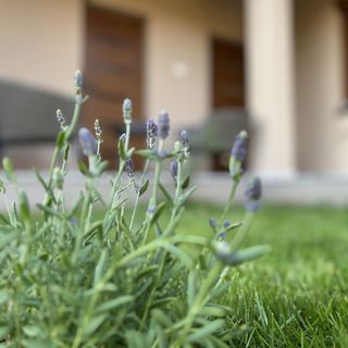 PoroszLove Vendégház Poroszló (4)