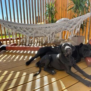 Domki Krasne Morze Mielenko (3)