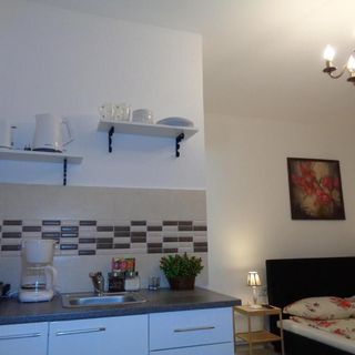 Alexandra Studios Sibiu (4)