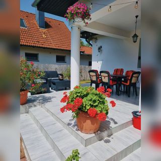 Boni Nyaralóház Balatonboglár (4)