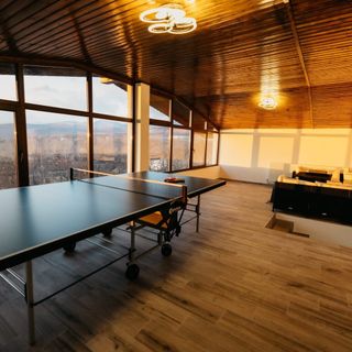 Casa Șandru Novaci (5)