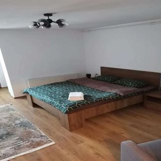 Cozy Studio Mediaș (5)