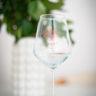 Hídfő Apartman Szeged (4)