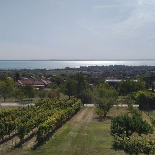 NyugtatLak Vendégház Balatonalmádi (5)