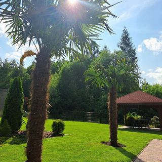 Dom na polanie Kopytówka (5)