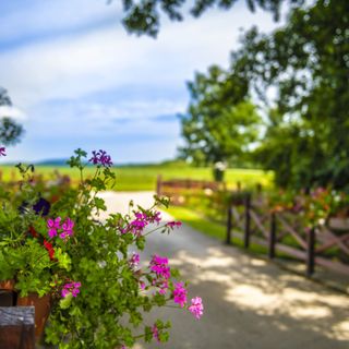 Szarvaskút Vendégházak Zirc (4)