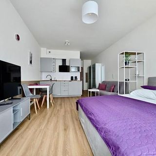 Easy Rent Apartments- Business Center 101 Lublin (4)