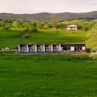 Cabana Sequooia Doftana Trăisteni (2)